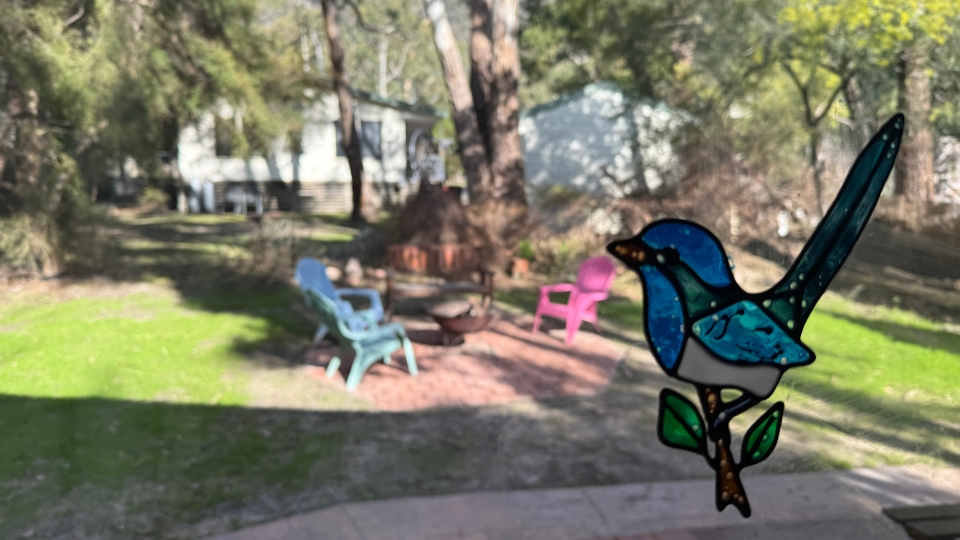Blue Wren Mews, Grampians.