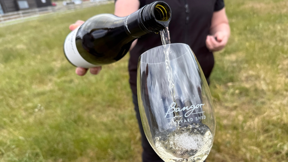 Bangor Vineyard, Tasmania