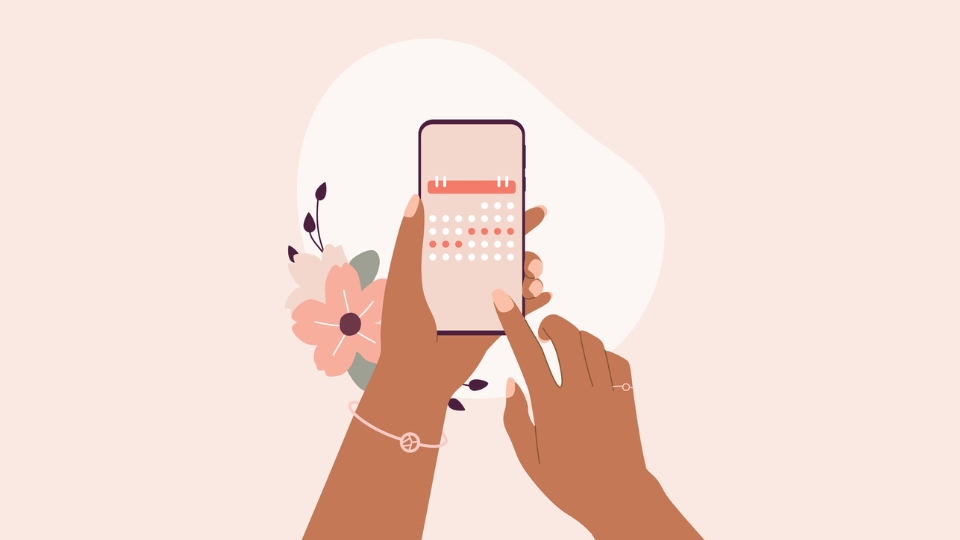 Different phases of the menstrual cycle explained: menstrual, follicular, ovulation, luteal