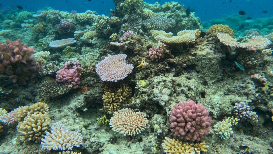 I travelled solo to Vanuatu. Here’s how it went